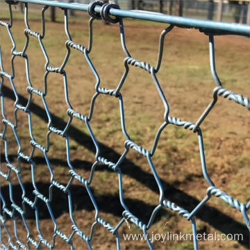 Stainless steel chicken wire